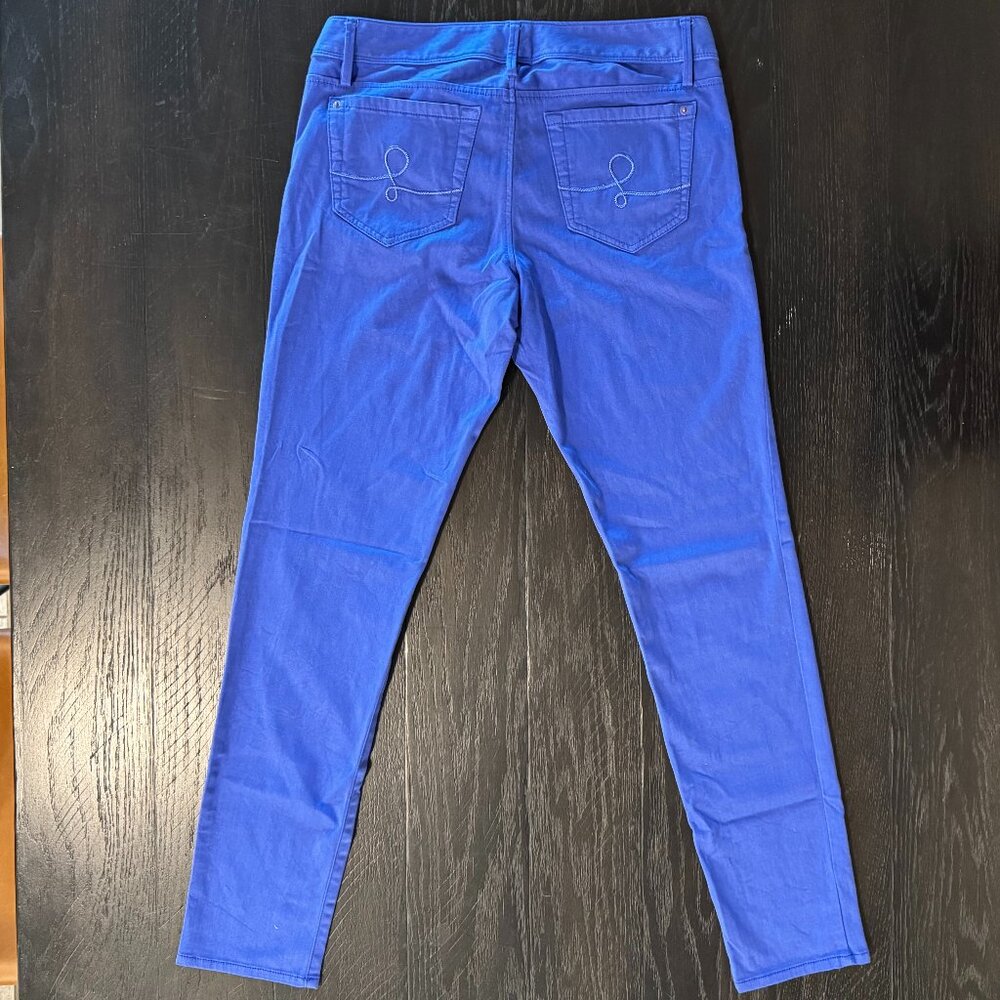 Lilly Pulitzer Worth Skinny Pants Blue Size 10 Excellent Condition